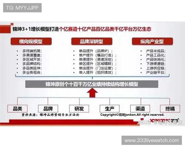 千亿体育国际官方网站入口：登录流程优化与用户体验提升策略全面解析
